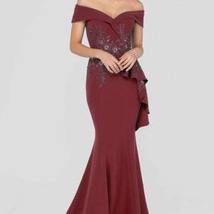 Terani Mother of the Bride Gown